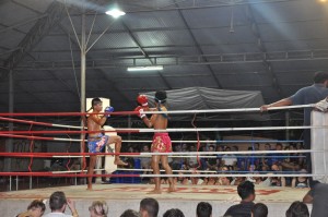Thai Boxing