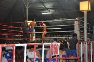 Thai Boxing