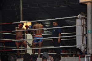 Thai Boxing