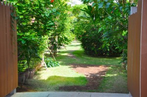 Around coral view