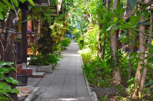 Around coral view