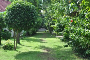 Around coral view