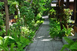 Around coral view