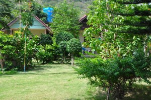 Around coral view