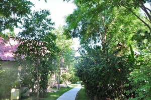 Around coral view