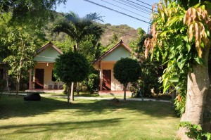 Around coral view