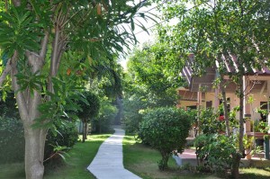 Around coral view