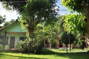 Around coral view