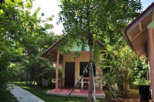 Around coral view