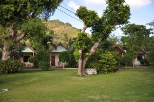 Around coral view