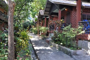 Around coral view